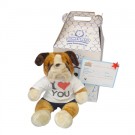 Honey Pets Bulldog Enamorado